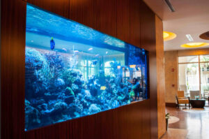 Consider Adding an Aquarium into Your Wall? These Are the Things You'll Definitely Need 