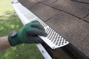 How To Keep Nesting Critters Out of Your Gutters