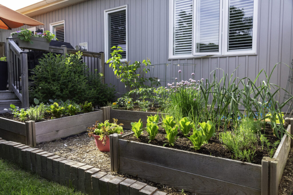 4 Compelling Reasons To Start Growing Your Own Garden