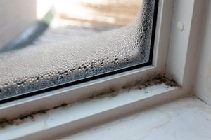Unexpected Places Mold Can Grow in Your Home