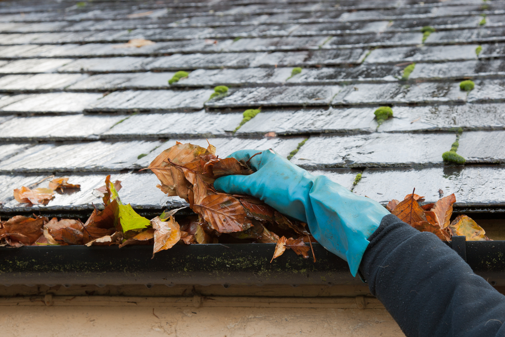5 Home Improvement Projects to Do Before Winter Hits