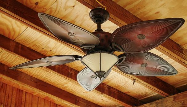 Here’s What to Look for in a Ceiling Fan