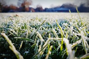 How To Care for Your Lawn Before the Holidays